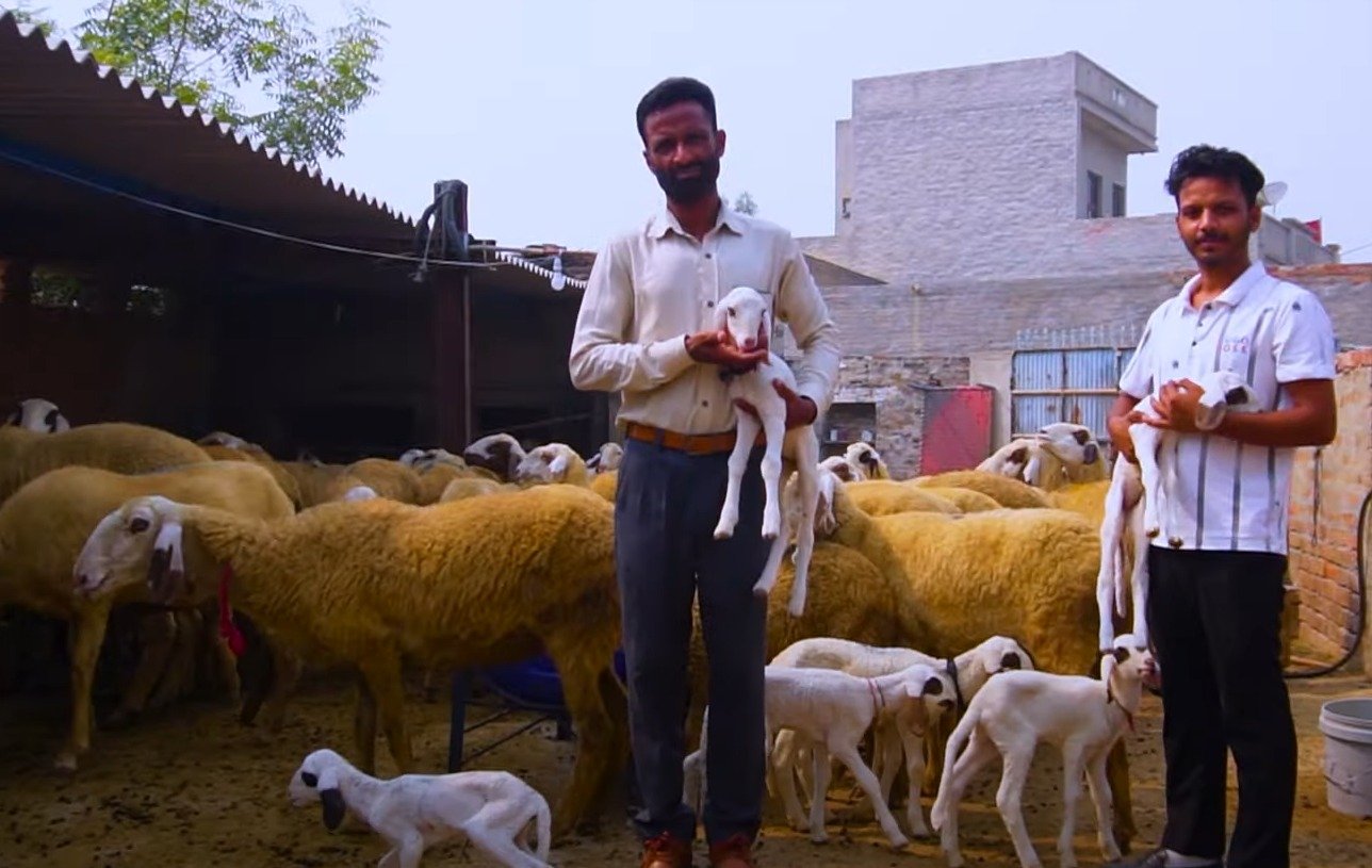 ਲੱਖਾਂ ਰੁਪਏ ਦੀ ਕਮਾਈ ਕਰ ਰਹੇ ਪੇਂਡੂ ਪੜ੍ਹੇ ਲਿਖੇ ਨੌਜਵਾਨ
