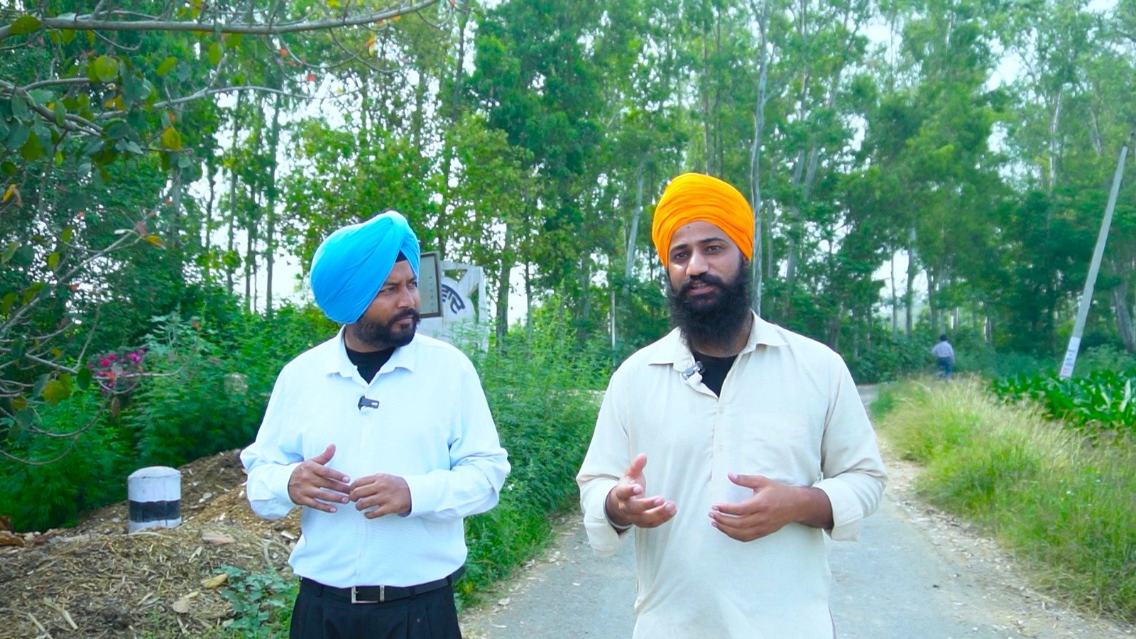 “ਹਲਦੀ ਦੀ ਖੇਤੀ : ਕਿਸਾਨਾਂ ਲਈ ਲਾਭਕਾਰੀ ਫਸਲ |"